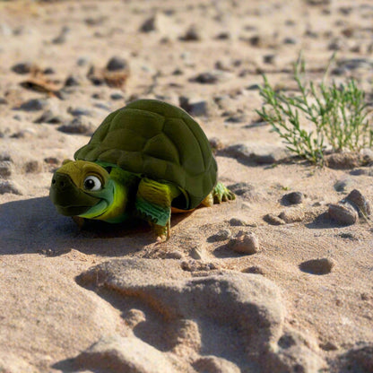 Articulating Tortoise