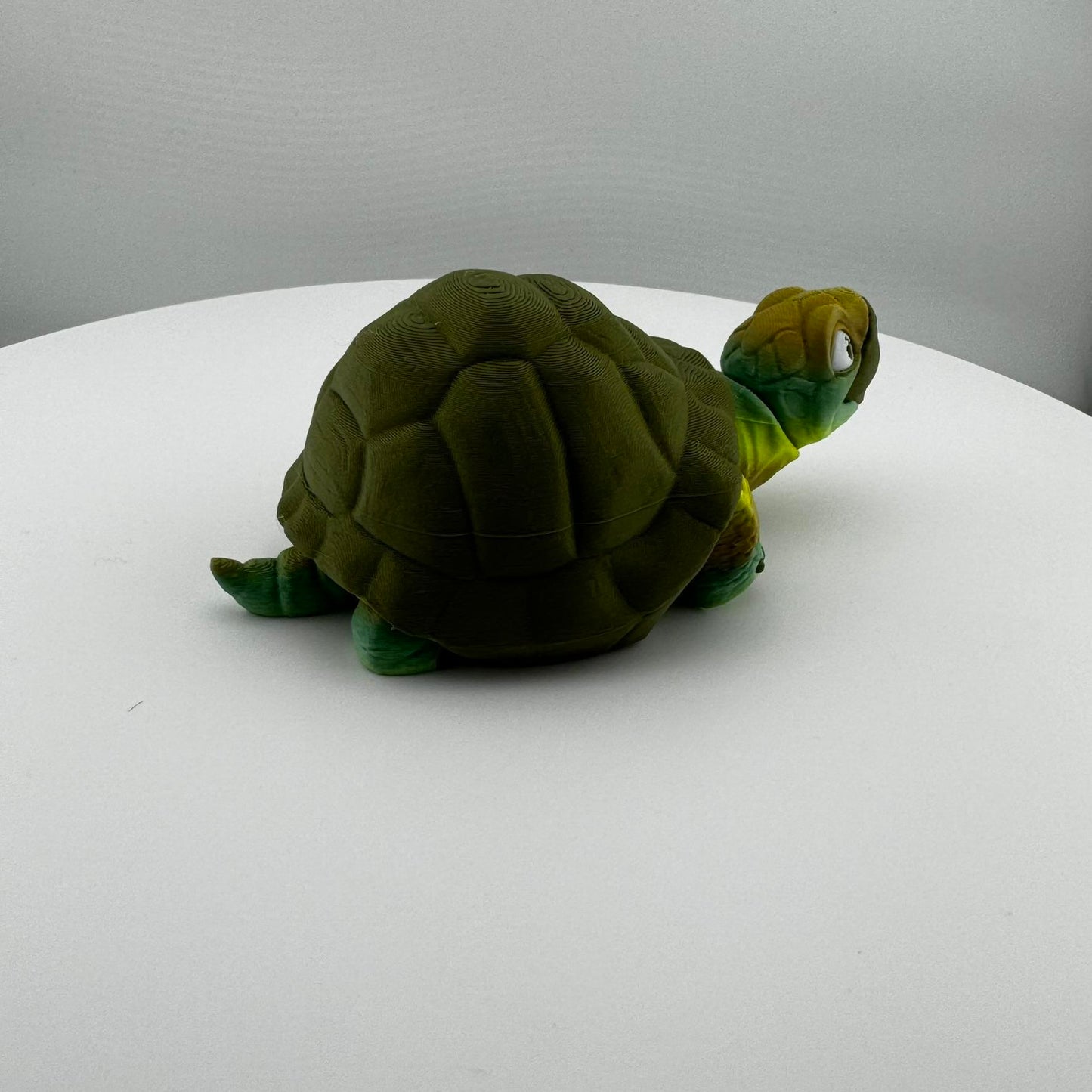 Articulating Tortoise