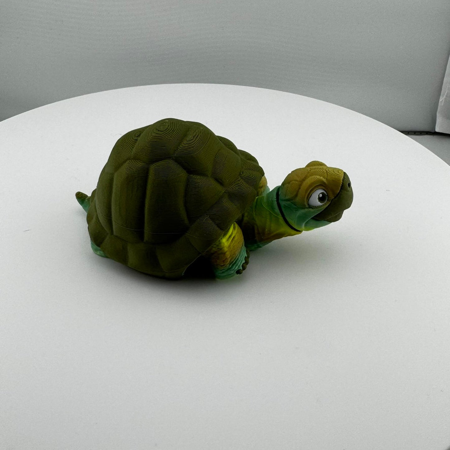 Articulating Tortoise