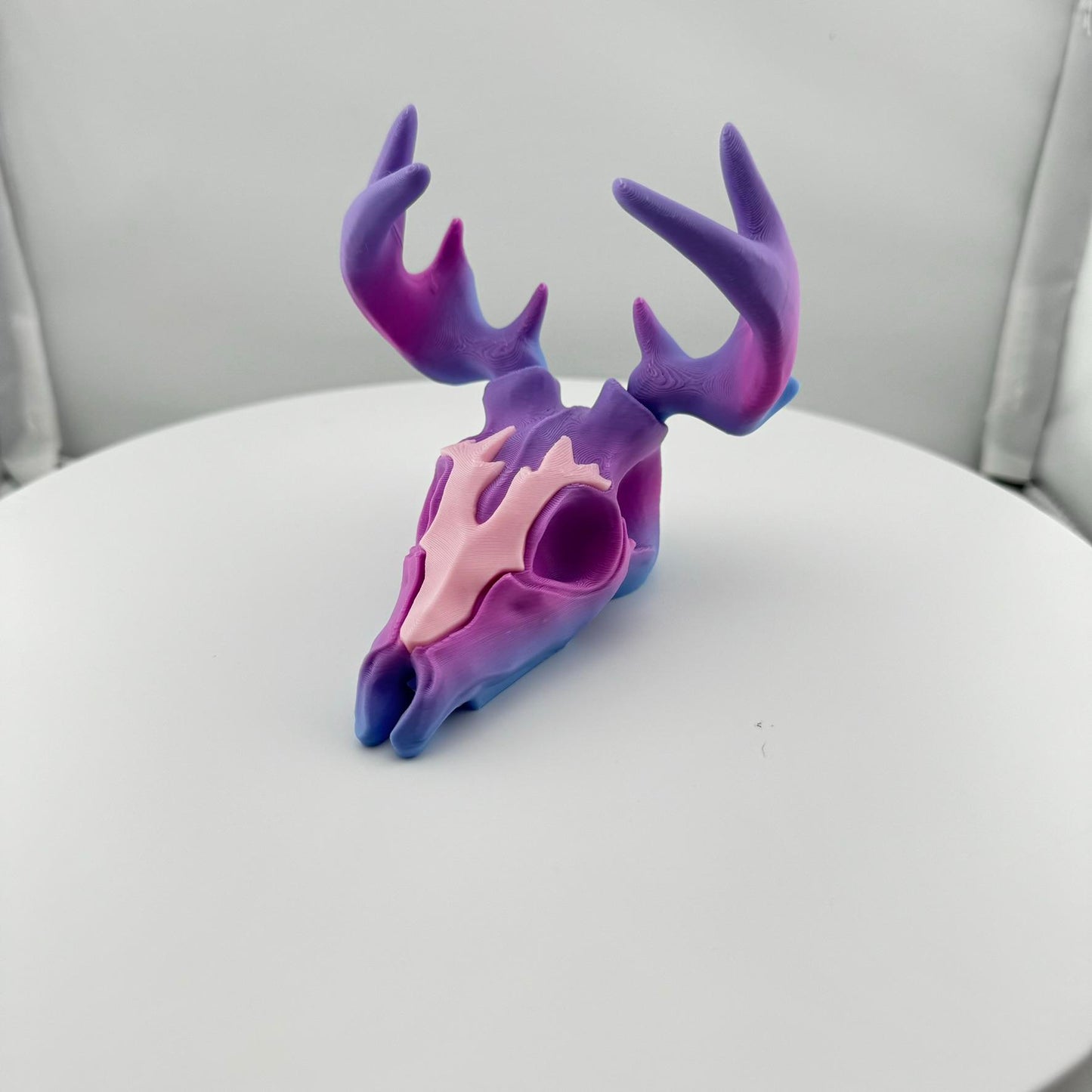 Small Deer Skull Wall Mount