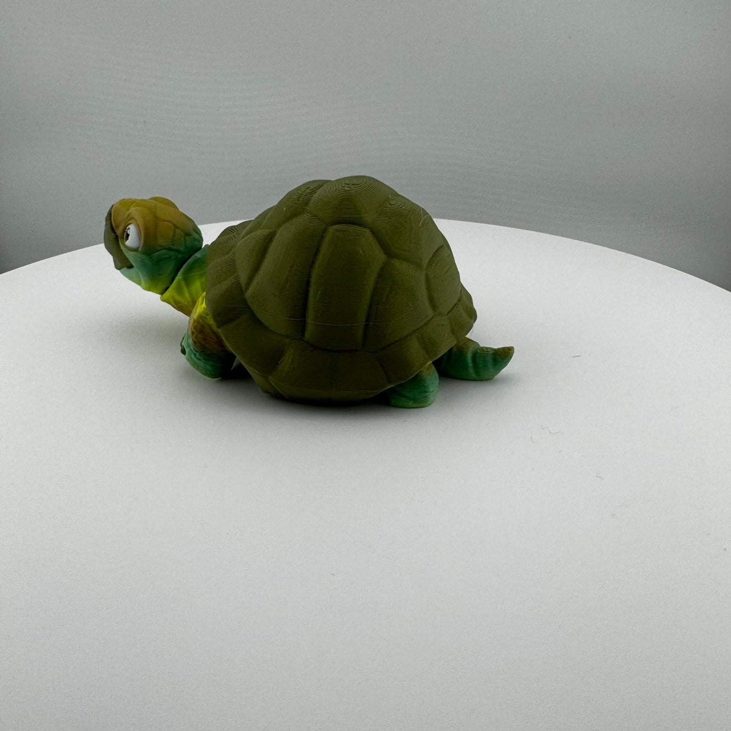 Articulating Tortoise