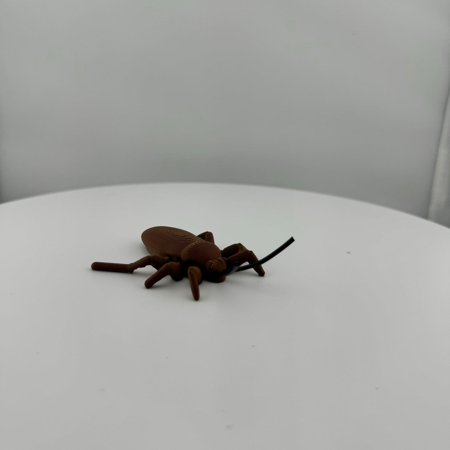 Articulating Roach