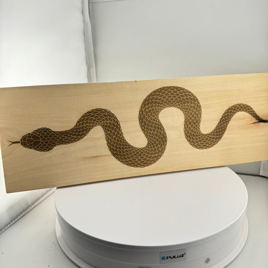 Snake Wall Art