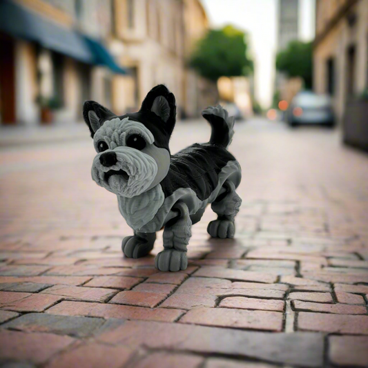 Articulating Yorkie