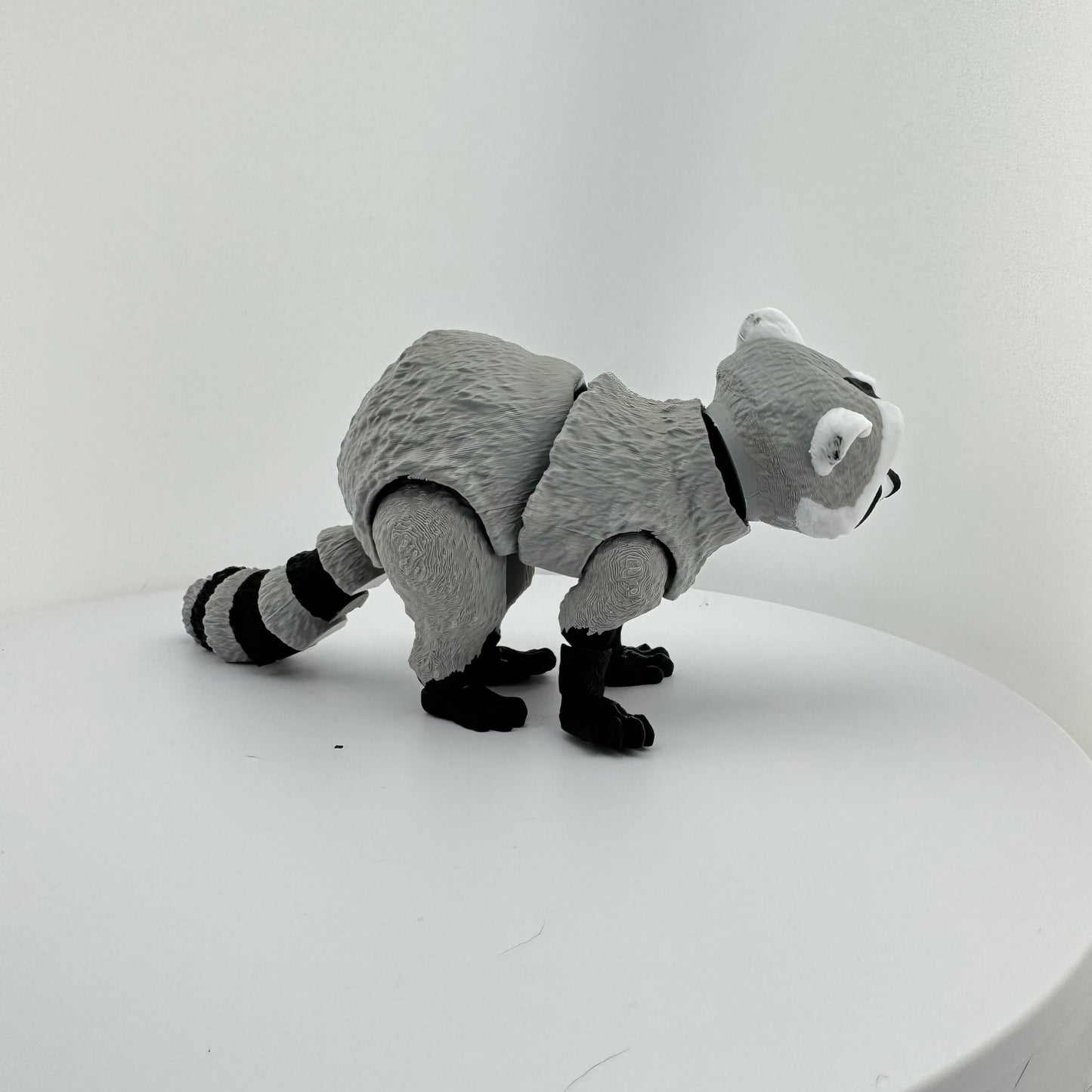 Articulating Racoon