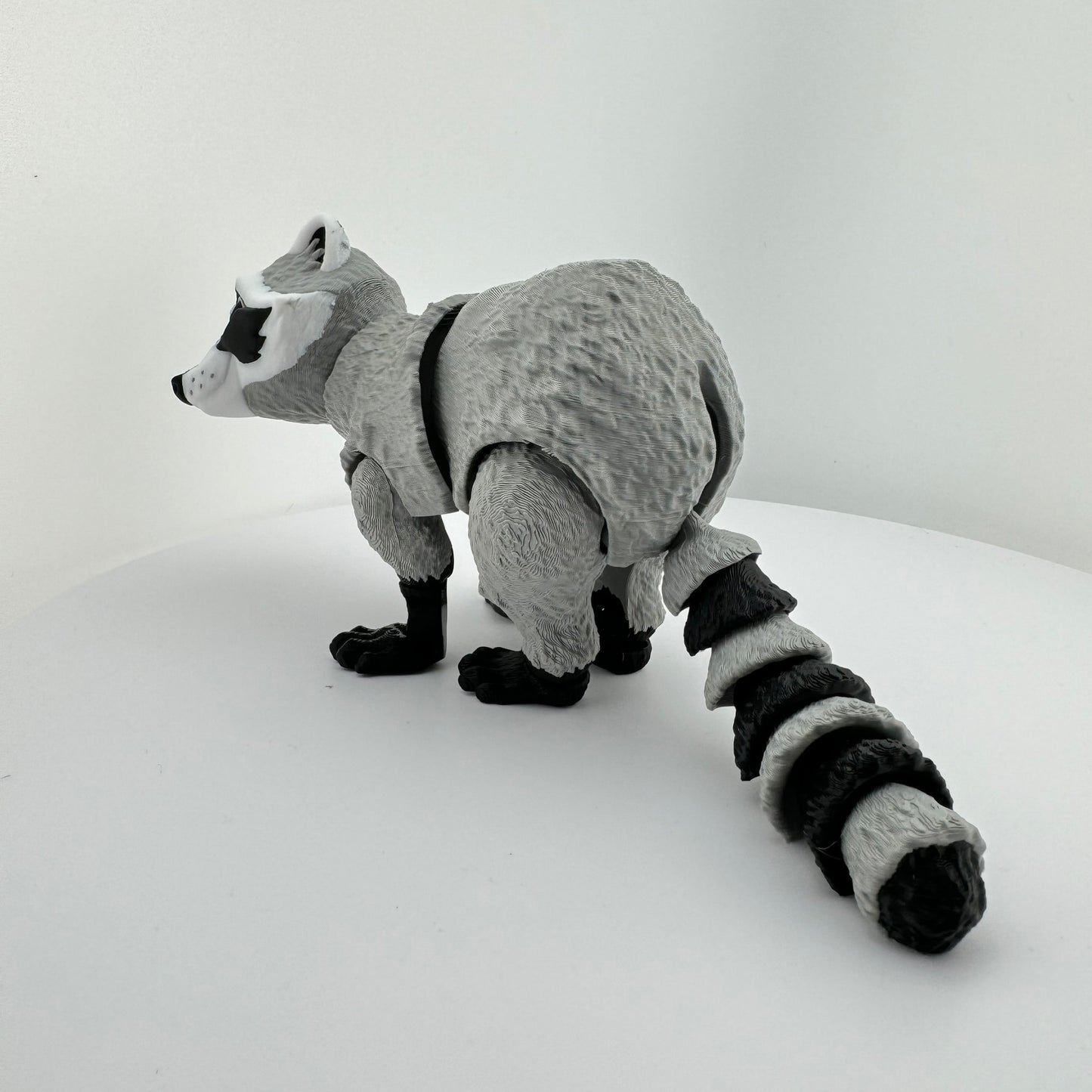 Articulating Racoon