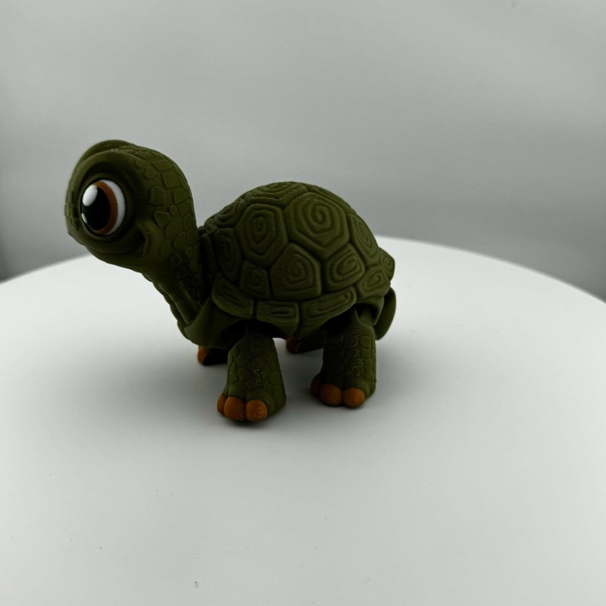 Articulating Turtle