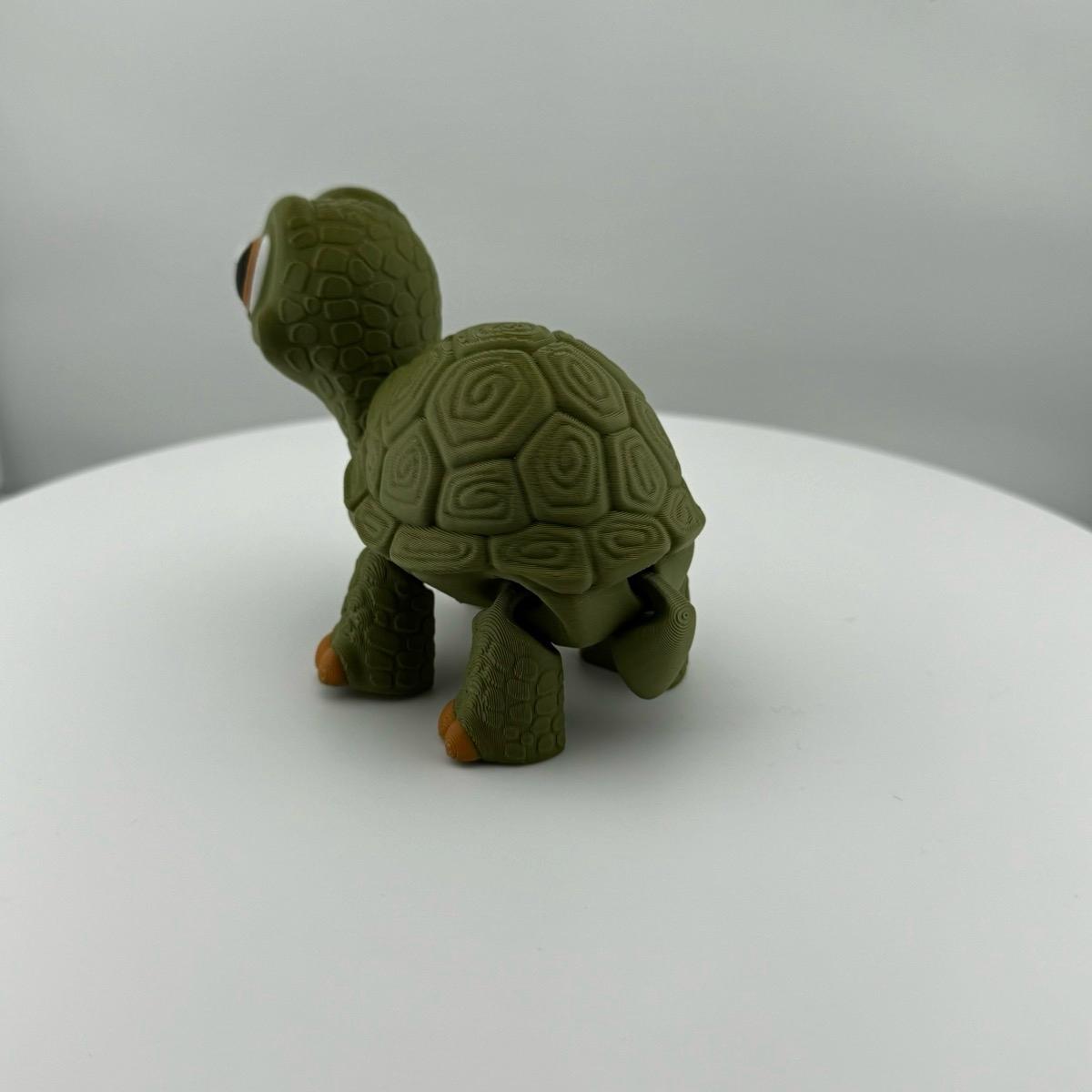 Articulating Turtle