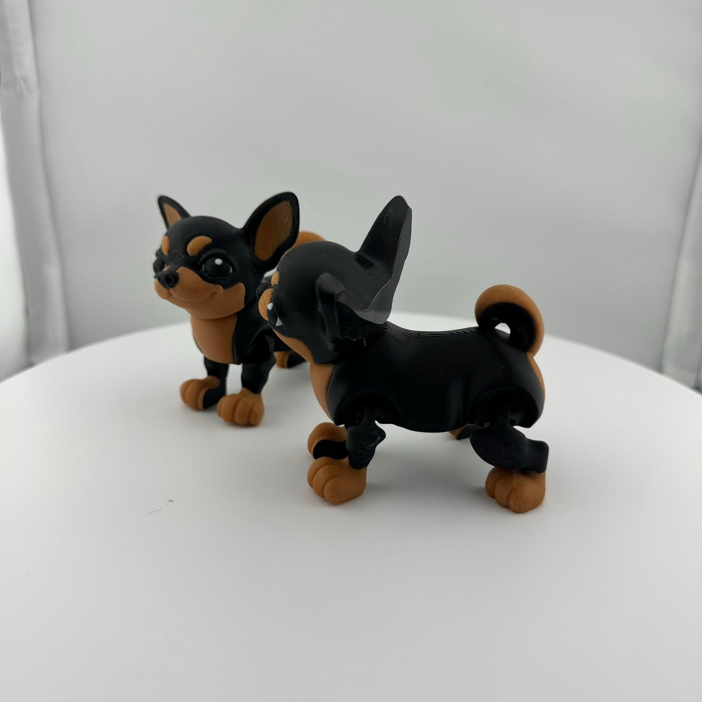 Articulating Chihuahua