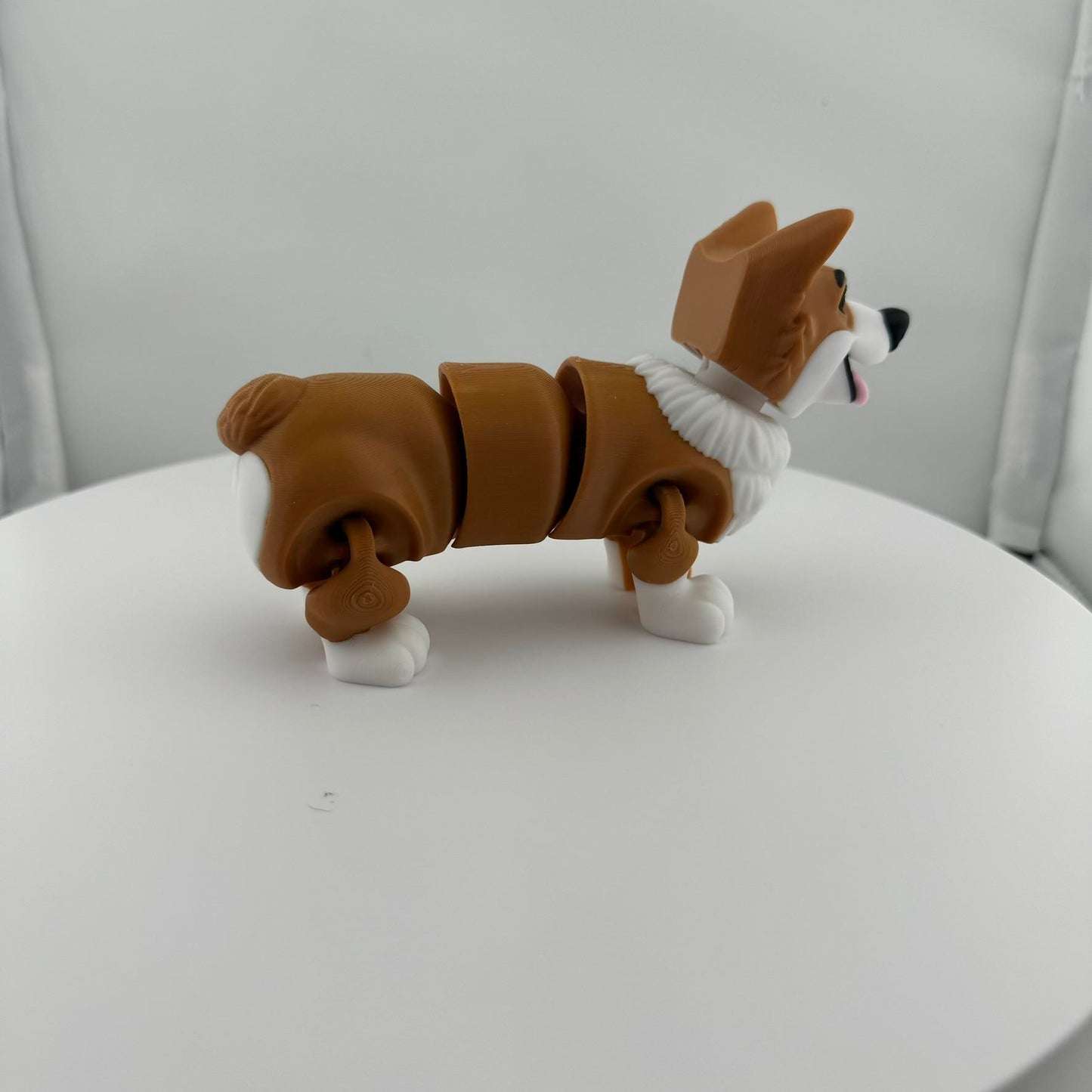 Articulating Corgi